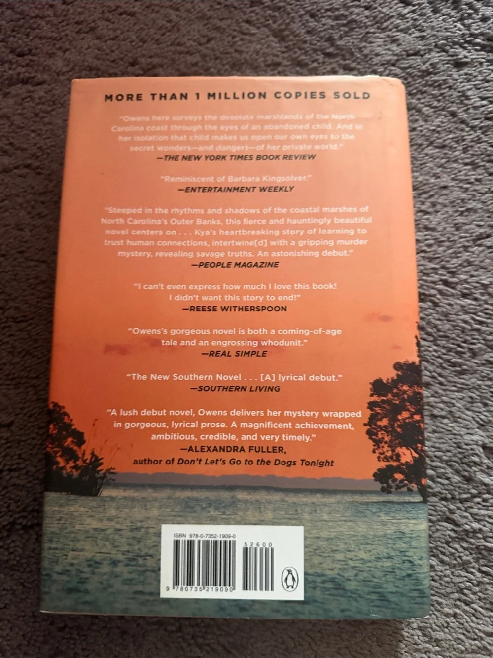 Original Penguin Orange and Black Graphic Novel-Style Book Cover